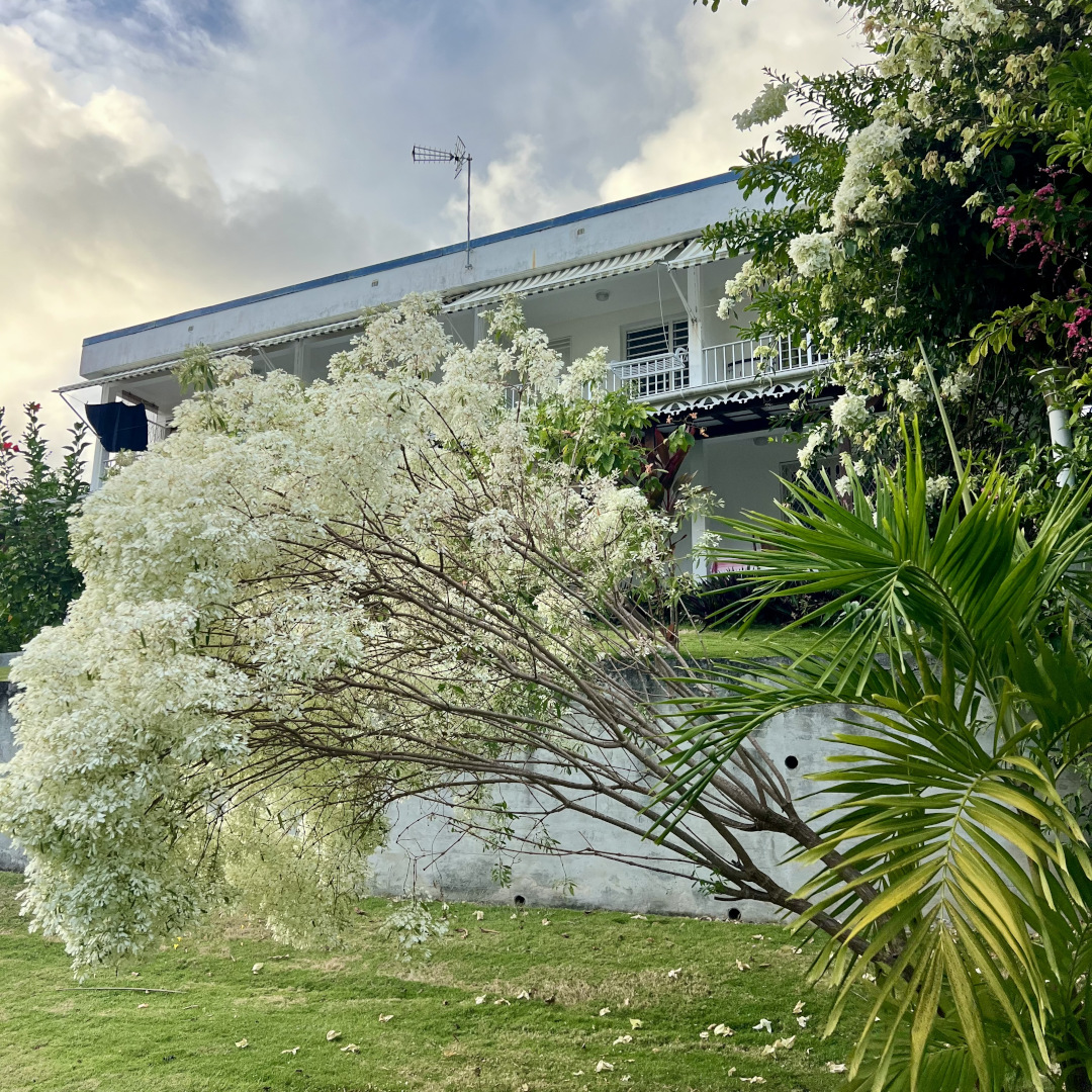 Gîte Hibiscus, SCI ADOLPHE HIBISCUS Fleuri-noël