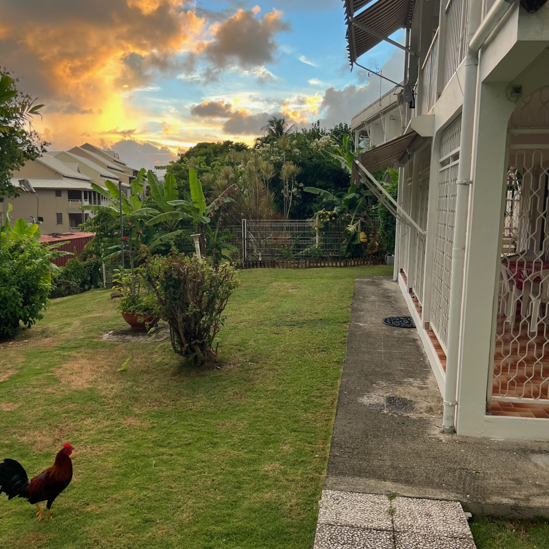 appartement Oiseau de paradis